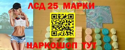 гидропоника Тула