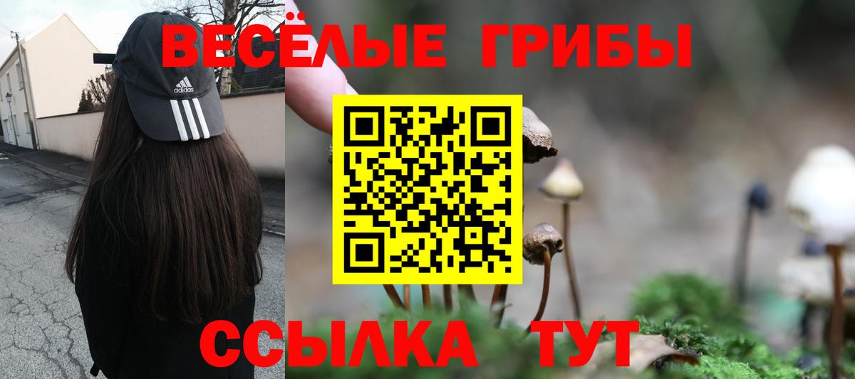 Галлюциногенные грибы прущие грибы  Вход с VPN  Мыски 
