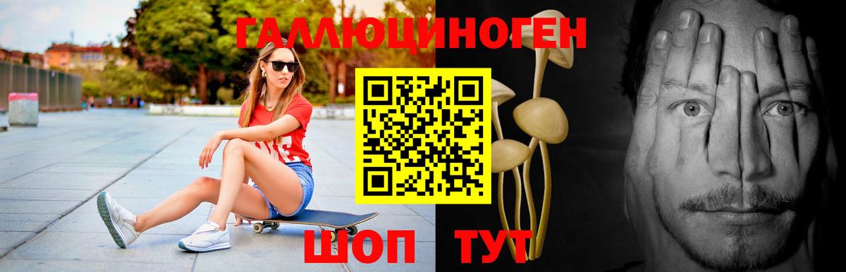 Псилоцибиновые грибы мицелий Мыски